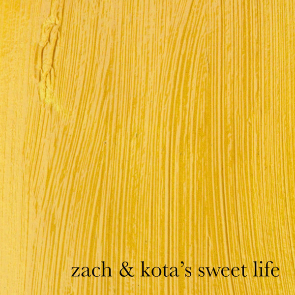 lataa albumi Download Zach & Kota's Sweet Life - Zach Kotas Sweet Life album