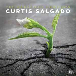 Curtis Salgado - The Beautiful Lowdown album cover