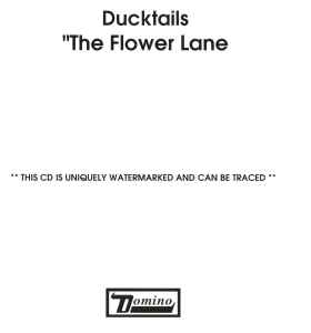 Ducktails - The Flower Lane album cover