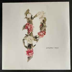 Polyphia - Muse album cover