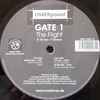 Gate 1 - The Flight