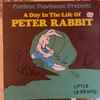 Unknown Artist - A Day In The Life Of Peter Rabbit