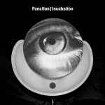 Cover of Incubation, 2013, CD