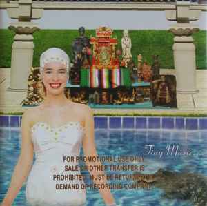 Stone Temple Pilots - Tiny Music...Songs From The Vatican Gift Shop album cover