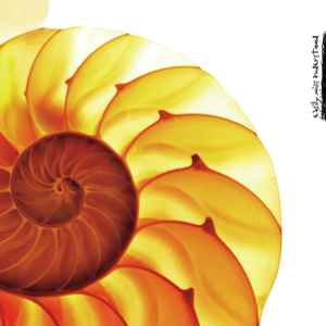 The Samuel Jackson Five - Easily Misunderstood album cover