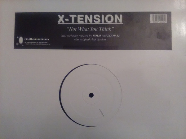 lataa albumi XTension - Not What You Think Shy FX Remixes