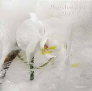 Various - Pop Ambient 2015 album cover