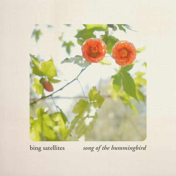 descargar álbum Bing Satellites - Song Of The Hummingbird
