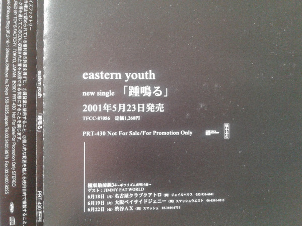 Eastern Youth – New Single (2001, CD) - Discogs