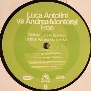 Antolini & Montorsi - Free album cover
