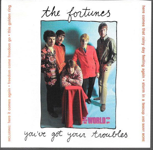 Fortunes - You've Got Your Troubles rare 1965 stereo promo US LP -  ロック、ポップス（洋楽）