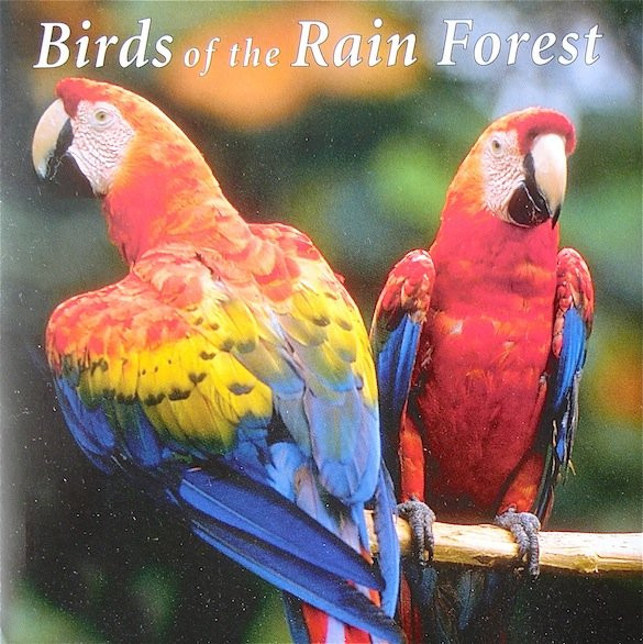 ladda ner album No Artist - Birds Of The Rain Forest