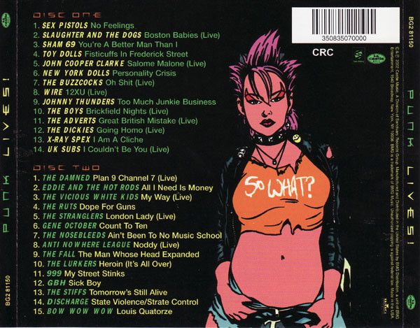 lataa albumi Various - Punk Lives