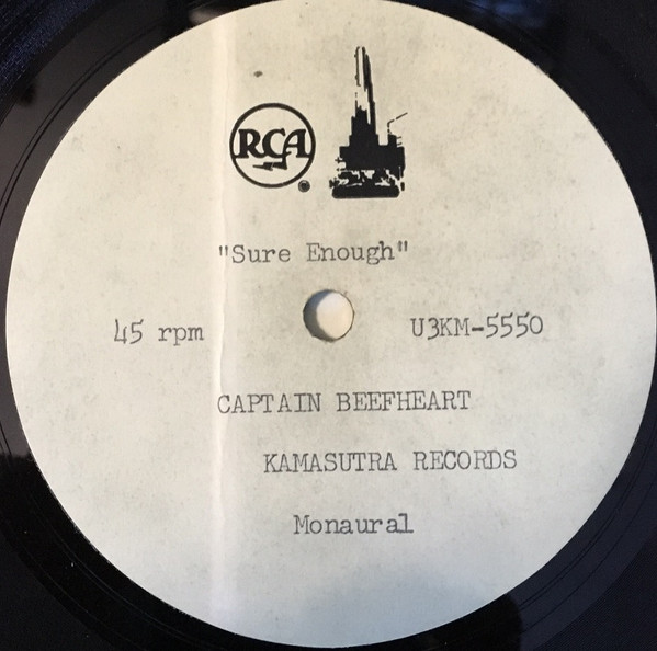 Album herunterladen Captain Beefheart - Sure Enough Grown So Ugly