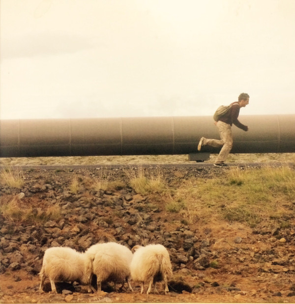 baixar álbum Of Monsters And Men, José González - The Secret Life of Walter Mitty