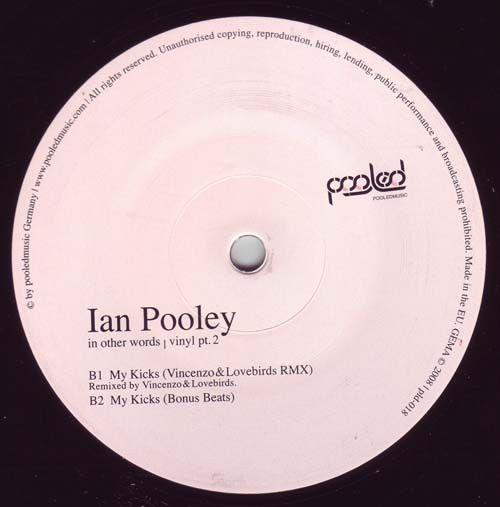 Album herunterladen Ian Pooley - In Other Words Vinyl Pt2