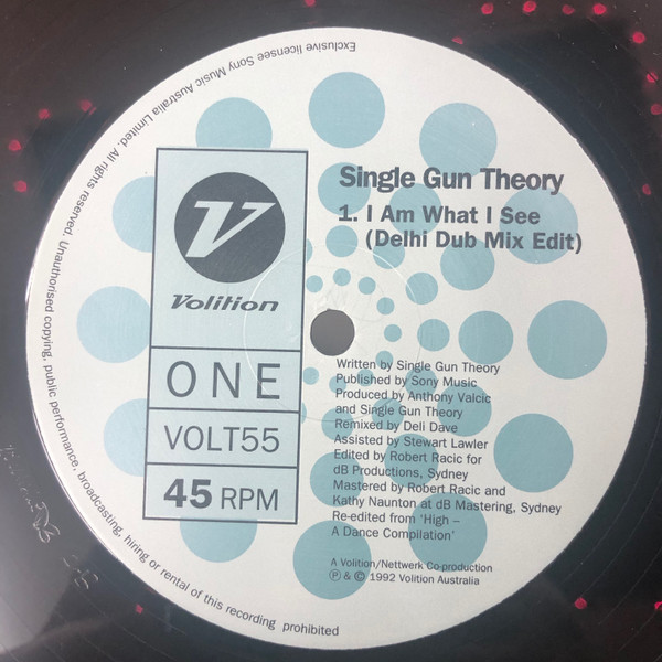 baixar álbum Single Gun Theory - I am what I see