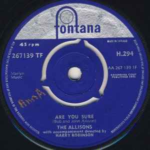 Are You Sure (Vinyl, 7