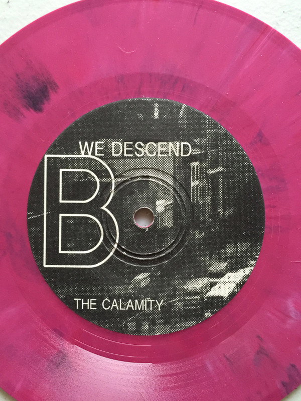 télécharger l'album The Calamity - Dry We Descend