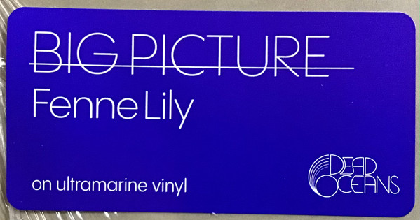 Fenne Lily - Big Picture | Dead Oceans (DOC329LP-C1) - 3