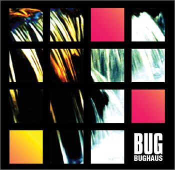 télécharger l'album Bug - Bughaus