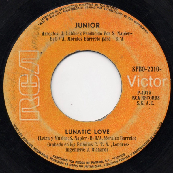 télécharger l'album Junior - Lunatic Love