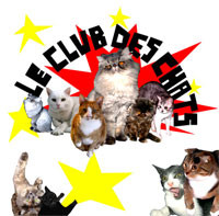 ladda ner album Le Club Des Chats - Demo
