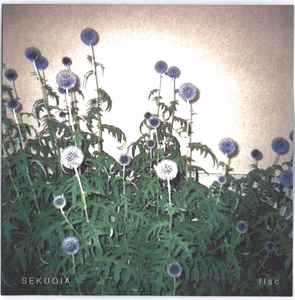 Sekuoia - flac album cover
