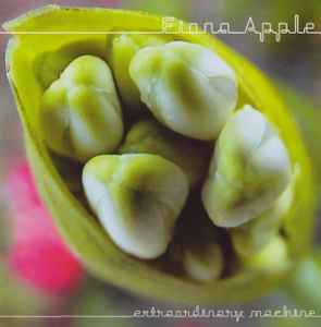 Fiona Apple – Extraordinary Machine (2005, CD) - Discogs