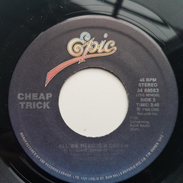 ladda ner album Cheap Trick - Never Had A Lot To Lose