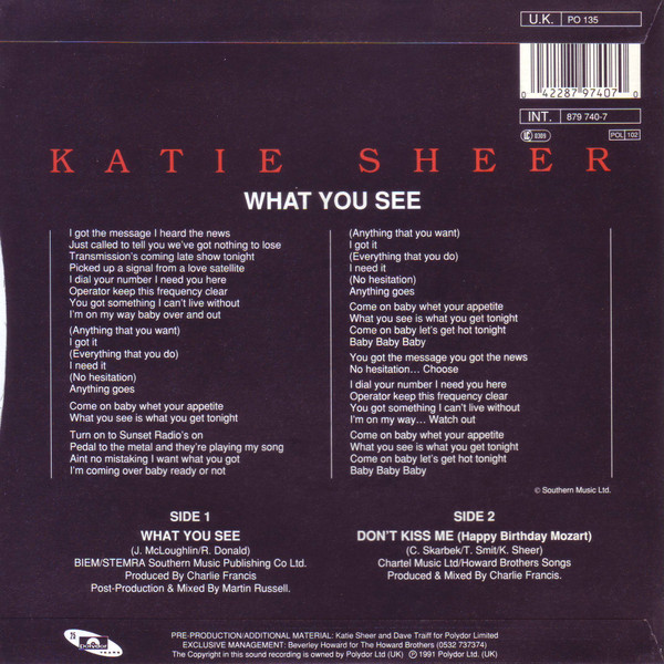 last ned album Katie Sheer - What You See