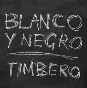 descargar álbum Blanco Y Negro - Timbero