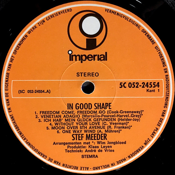 télécharger l'album Stef Meeder - In Good Shape