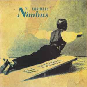 Key Figures - Ensemble Nimbus