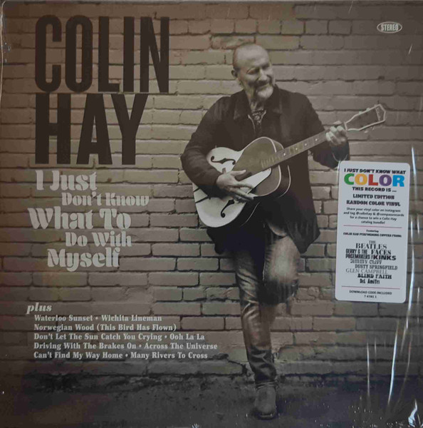 Colin Hay I Just Don't Know What COLOR To Choose Color-By-Number Pos –  Compass Records