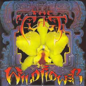 Wild Flower - The Cult