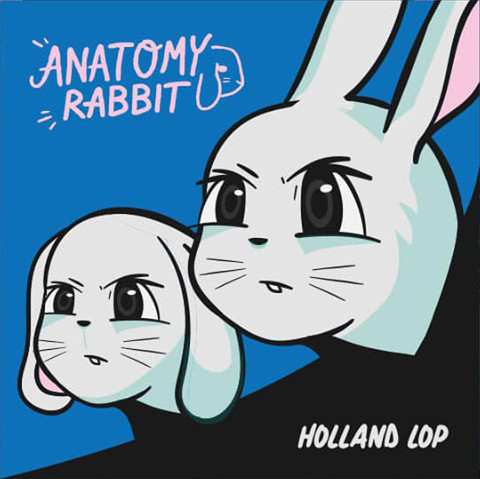 baixar álbum Anatomy Rabbit - Holland Lop