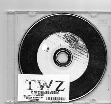 descargar álbum TWZ - It hurts when I breathe