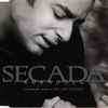 Secada* - Amandolo (The Spanish Version Of Too Late Too Soon)