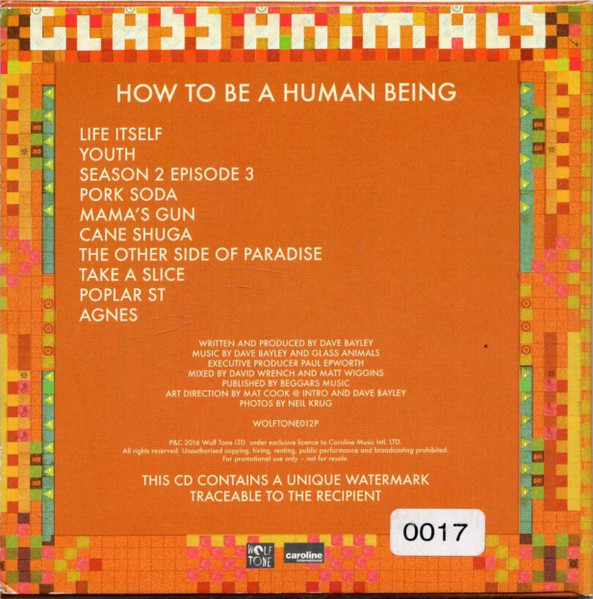 Glass Animals – The Other Side of Paradise Lyrics