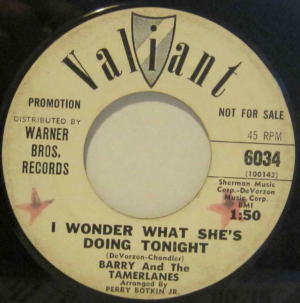 Barry And The Tamerlanes – I Wonder What She's Doing Tonight (1963