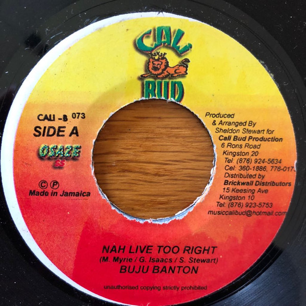 Buju Banton – Nah Live Too Right (2001, Vinyl) - Discogs