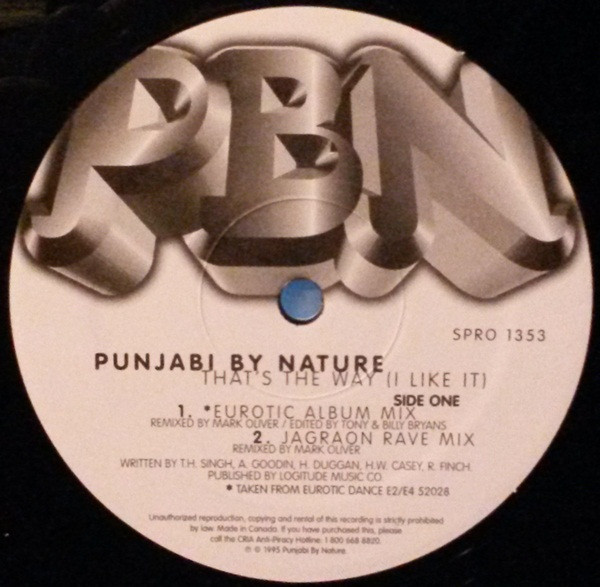 last ned album Punjabi By Nature - Thats The Way I Like It