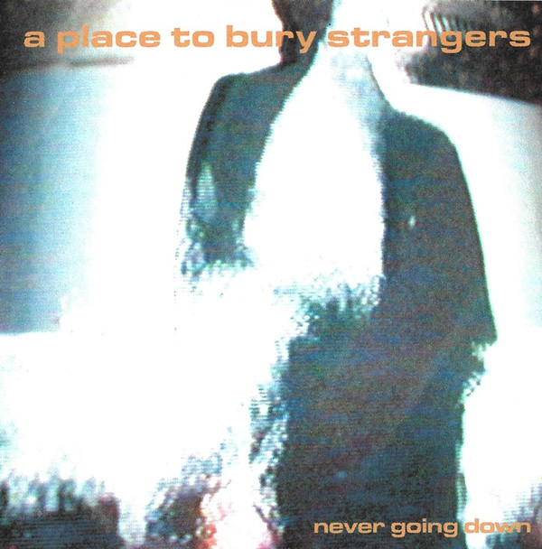 télécharger l'album A Place To Bury Strangers - Never Going Down