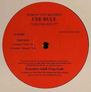 DJ Cee Rule - Can You Feel It album cover
