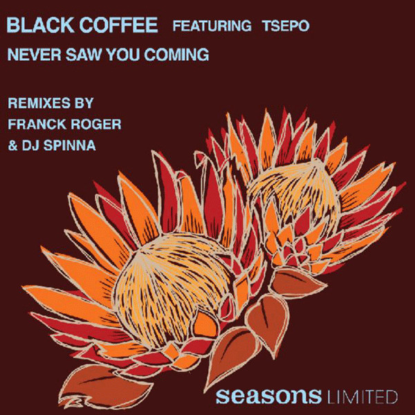 baixar álbum Black Coffee Featuring Tsepo - Never Saw You Coming