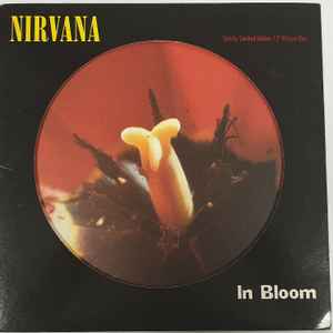 Nirvana - In Bloom image