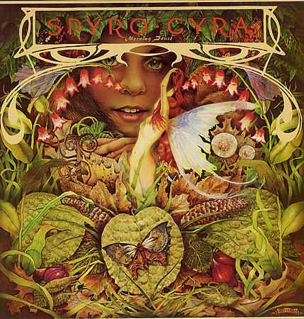 Spyro Gyra – Morning Dance (Vinyl) - Discogs