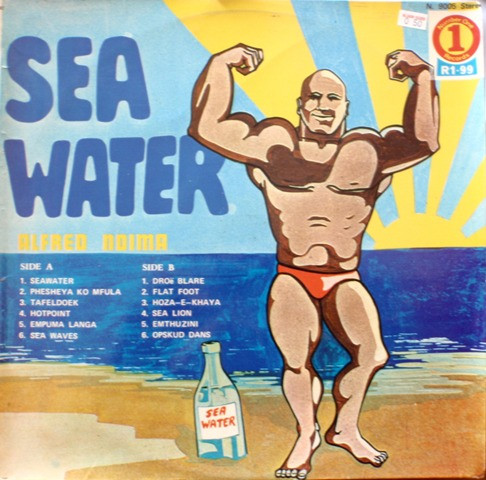 télécharger l'album Alfred Ndima - Sea Water