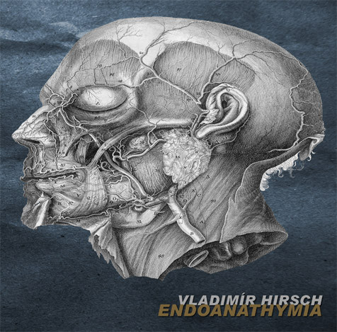 Album herunterladen Download Vladimír Hirsch - Endoanathymia album